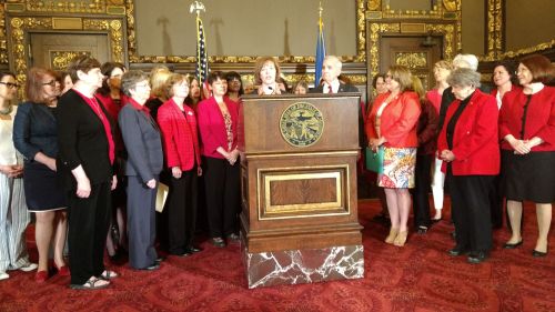 Tina Smith and DFL women leg